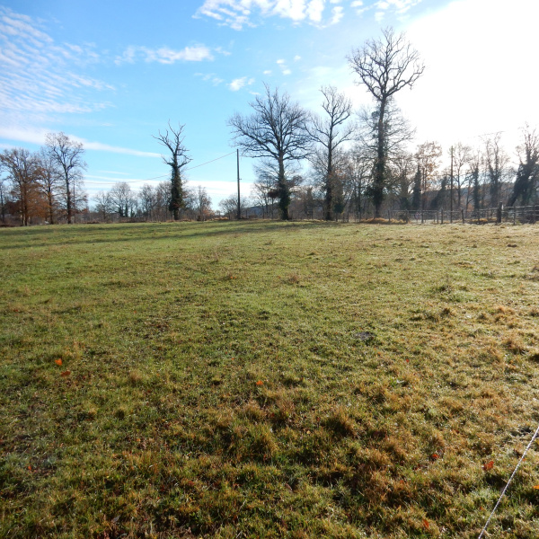 Offres de vente Terrain Ytrac 15000