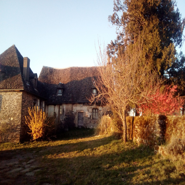 Offres de vente Maison Pleaux 15700